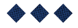 A black and white image of a circle with a line through it. Description generated by AI