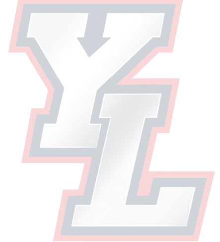 The stylized letters Y and L are shown in a bold silver gradient with a navy blue outline and a red outer border. Description generated by AI