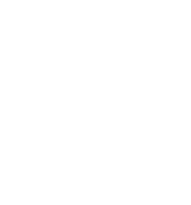 rush yds,24