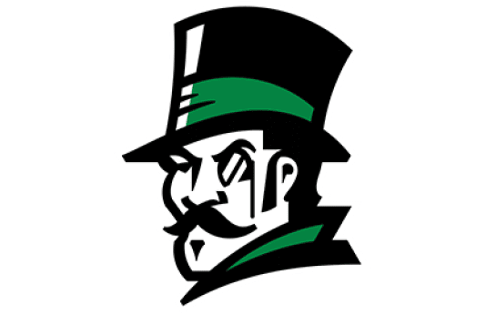 A man wearing a green hat and a black suit. Description generated by AI