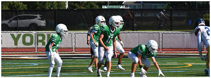 A football player wearing a blue and white uniform. Description generated by AI