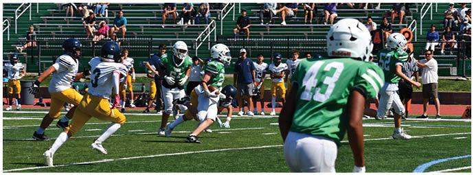 A football player wearing a blue and white uniform. Description generated by AI