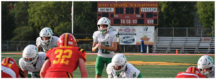 A football player wearing a blue and white uniform. Description generated by AI