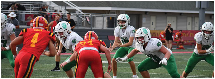 A football player wearing a blue and white uniform. Description generated by AI