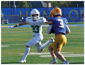 A group of football players on a field. Description generated by AI