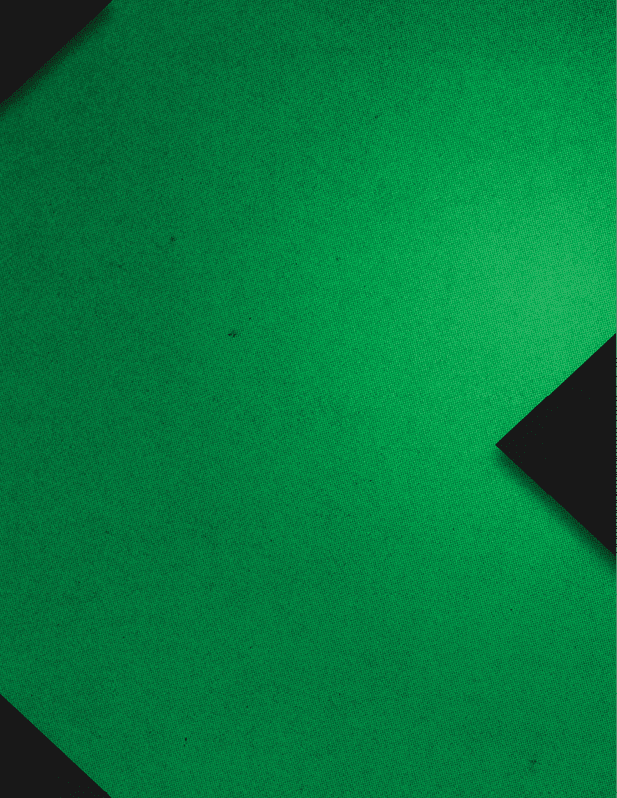 A green background with a black triangle. Description generated by AI