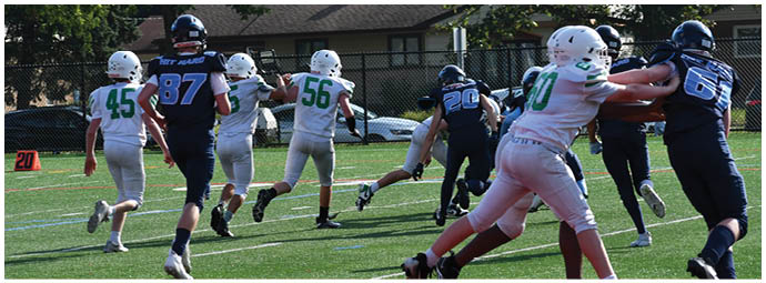 A football player wearing a blue and white uniform. Description generated by AI