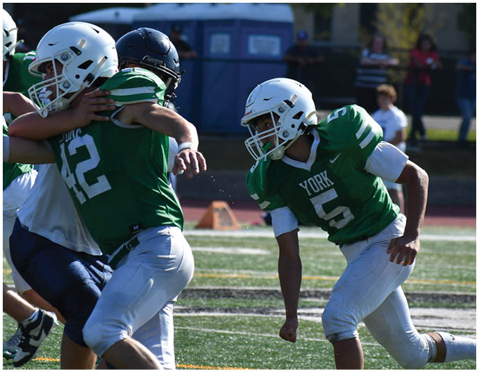 Three football players in blue and white uniforms running on a field. Description generated by AI