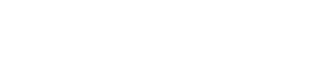 york VS leyden SEPT. 11, 2026 