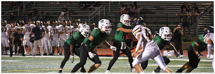 A group of football players on a field. Description generated by AI
