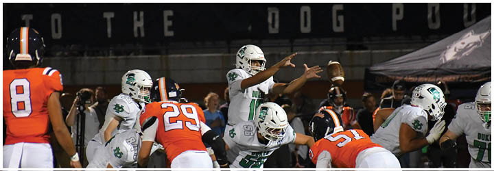 A group of football players on a field. Description generated by AI