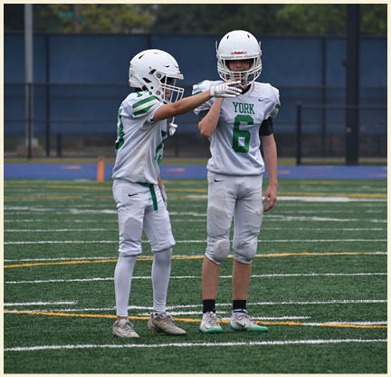A football player is kicking a football on a field. Description generated by AI