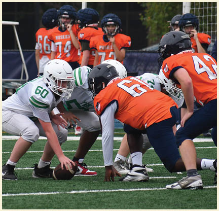 A football player is kicking a football on a field. Description generated by AI