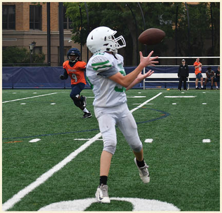 A football player is kicking a football on a field. Description generated by AI
