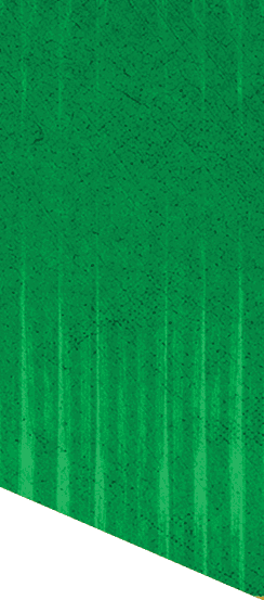 A green and white patterned background. Description generated by AI