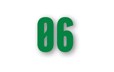 06