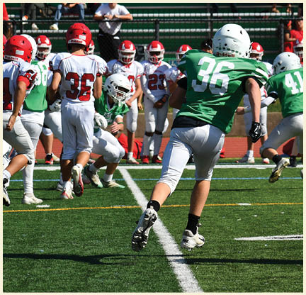 A football player is kicking a football on a field. Description generated by AI