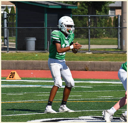 A football player is kicking a football on a field. Description generated by AI