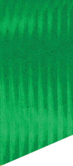 A green and white patterned background. Description generated by AI