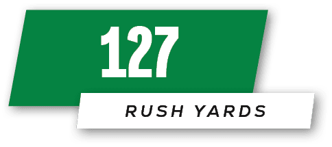 rush yards,12