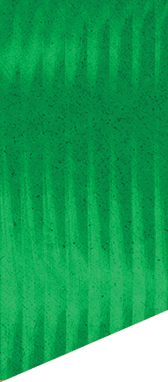A green and white patterned background. Description generated by AI