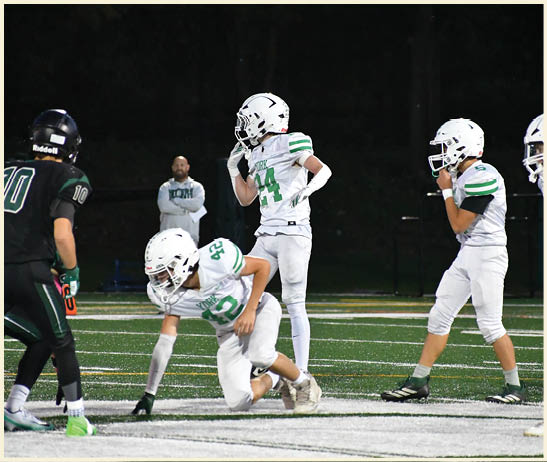 A football player is kicking a football on a field. Description generated by AI