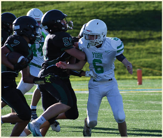 A football player is kicking a football on a field. Description generated by AI