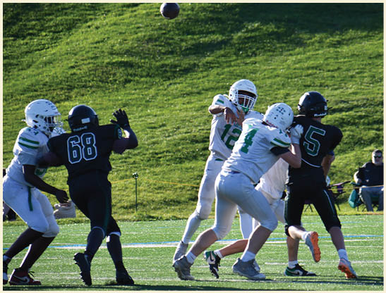 A football player is kicking a football on a field. Description generated by AI