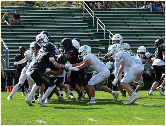 A football player is kicking a football on a field. Description generated by AI