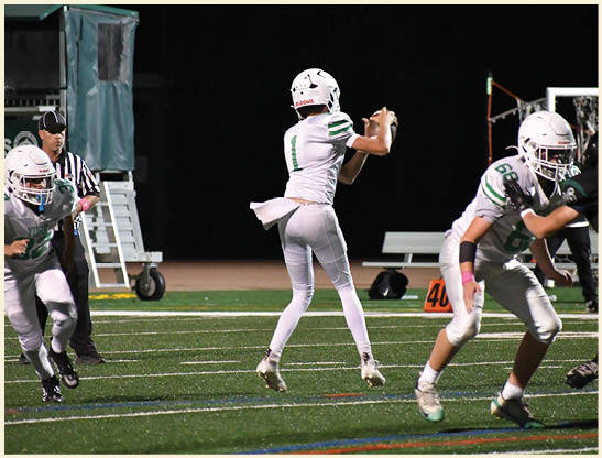 A football player is kicking a football on a field. Description generated by AI