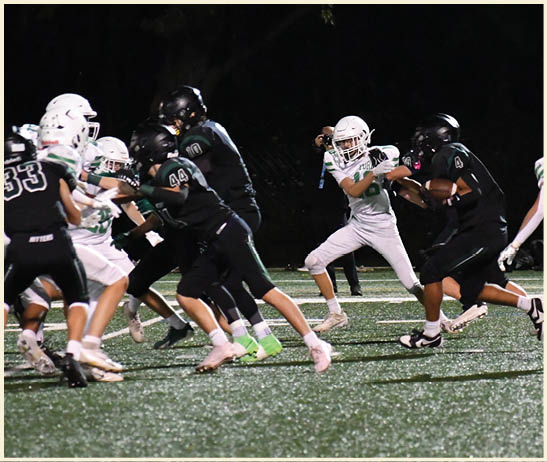 A football player is kicking a football on a field. Description generated by AI