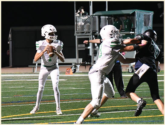A football player is kicking a football on a field. Description generated by AI