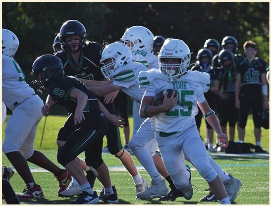 A football player is kicking a football on a field. Description generated by AI