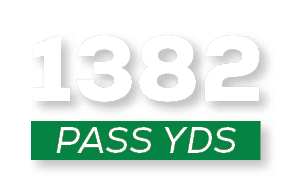 pass YDS,138