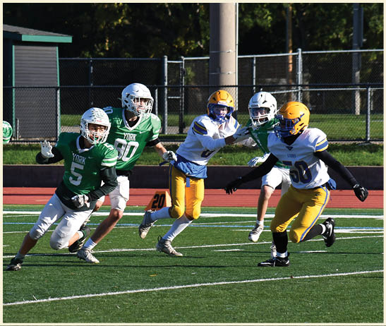 A football player is kicking a football on a field. Description generated by AI
