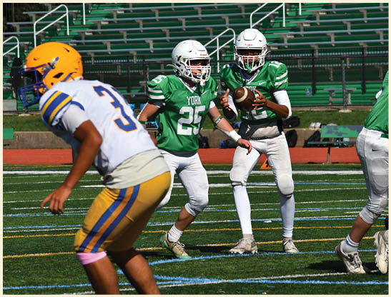 A football player is kicking a football on a field. Description generated by AI