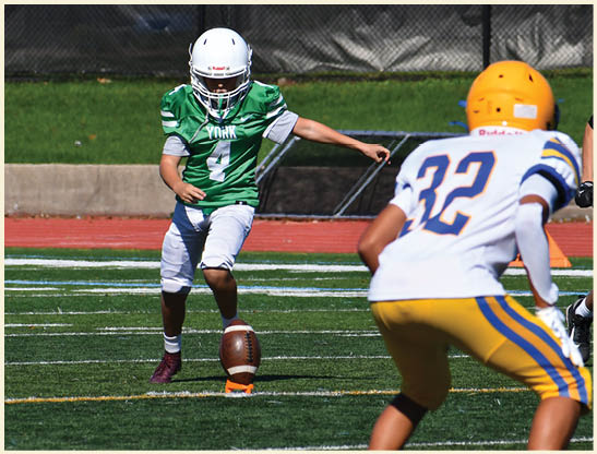 A football player is kicking a football on a field. Description generated by AI