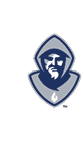 A blue and white logo for Valor. Description generated by AI