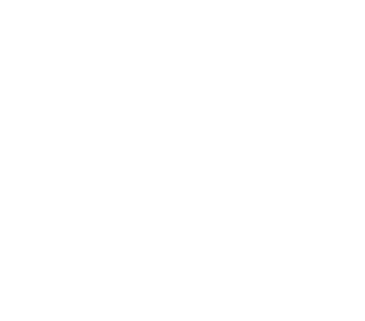 SHOTS ON GOAL,1