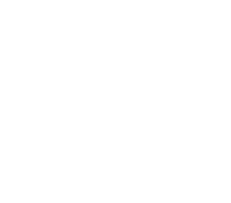 SHOTS ON GOAL,1