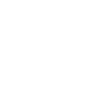 SHOTS ON GOAL,1