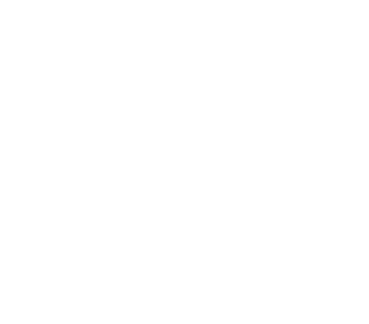 SHOTS ON GOAL,1