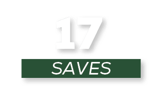 SAVES,1