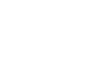 SHOTS ON GOAL,1