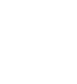 SAVES,
