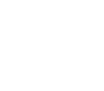 SHOTS ON GOAL,