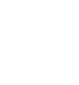 ASSISTS,