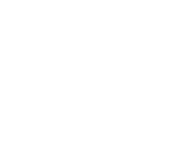 SHOTS ON GOAL,1