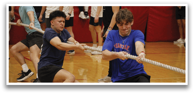 [Alt text was not generated.]