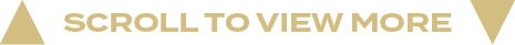 scroll to view mor